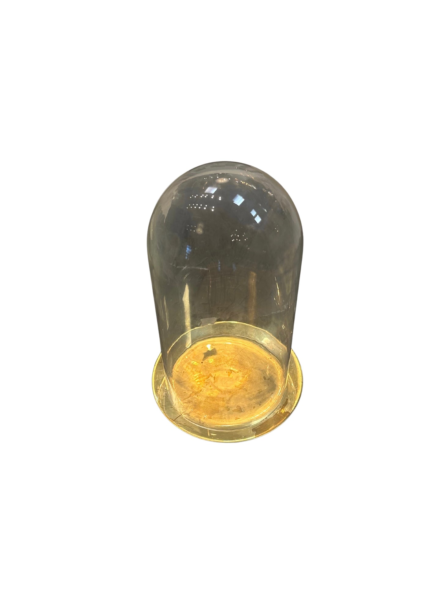 The Gold Plate and Cloche features a transparent glass dome atop a golden base, showcased against a plain white background.