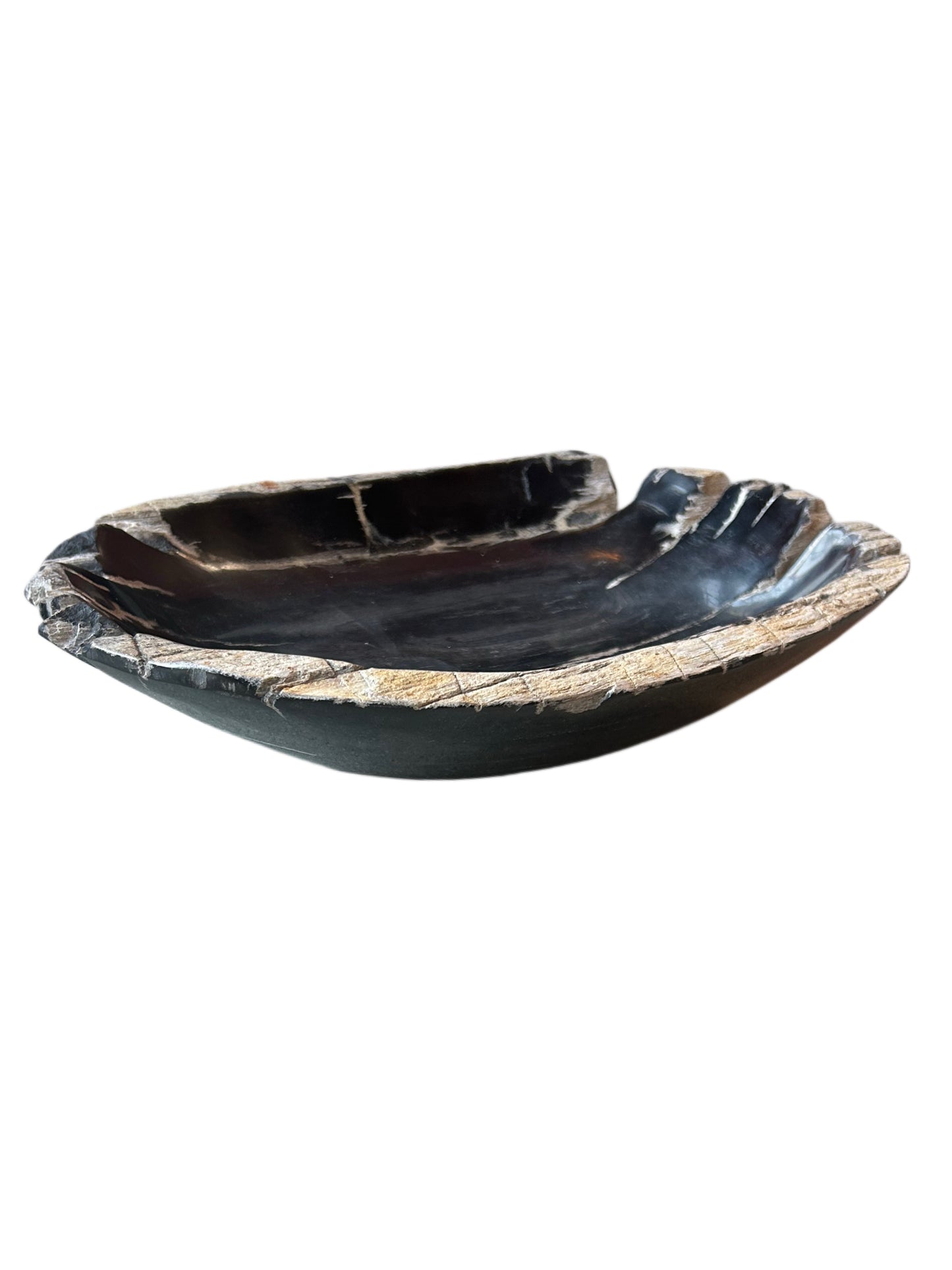Petrified Wood Bowl
