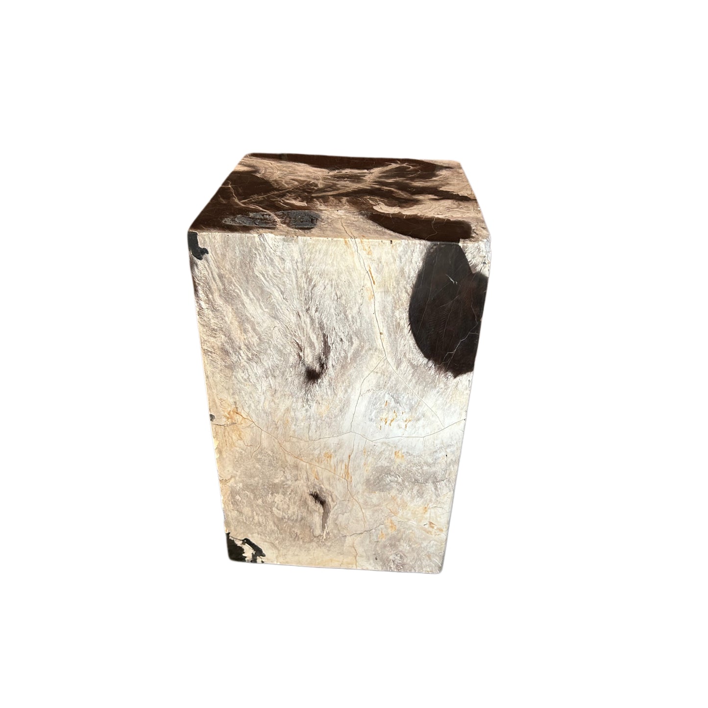 PETRIFIED WOOD PLINTH