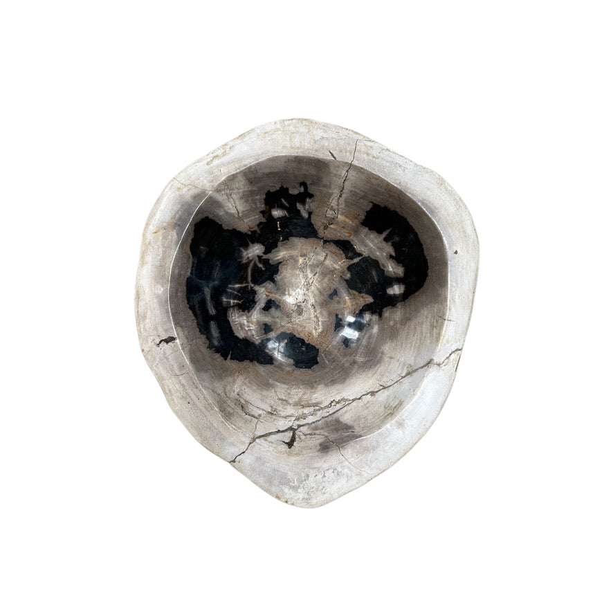 TALL PETRIFIED WOOD BOWL