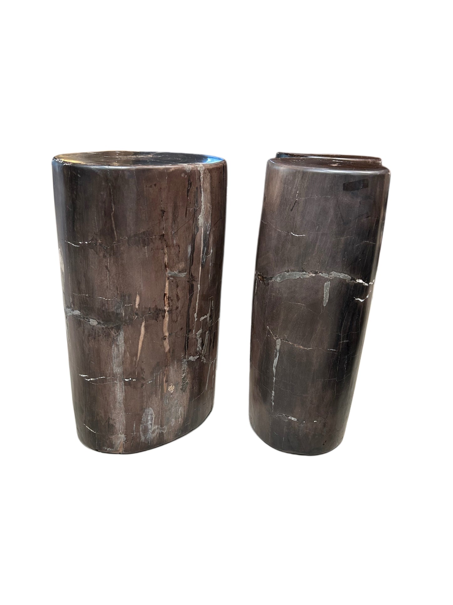 Petrified Wood Plinth - Medium
