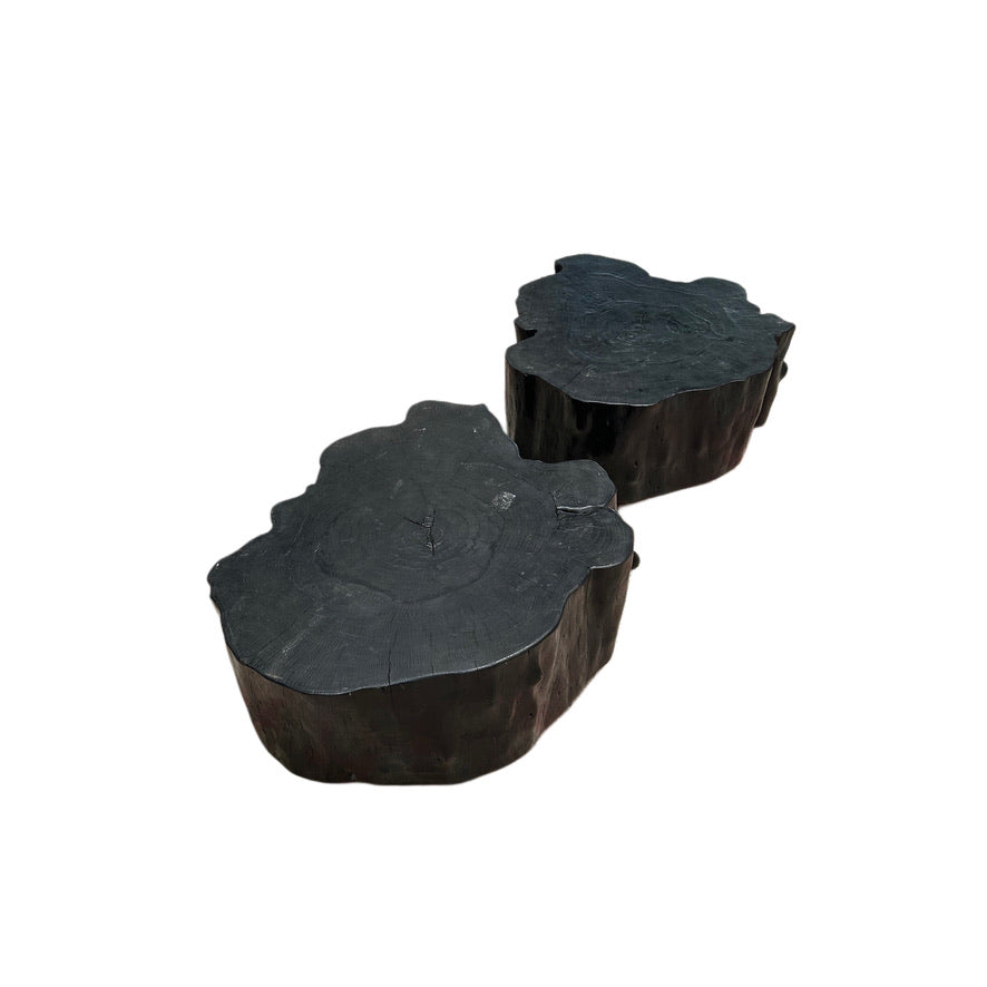 EBONIZED OLD GROWTH ACACIA ORGANIC STUMP COFFEE TABLE