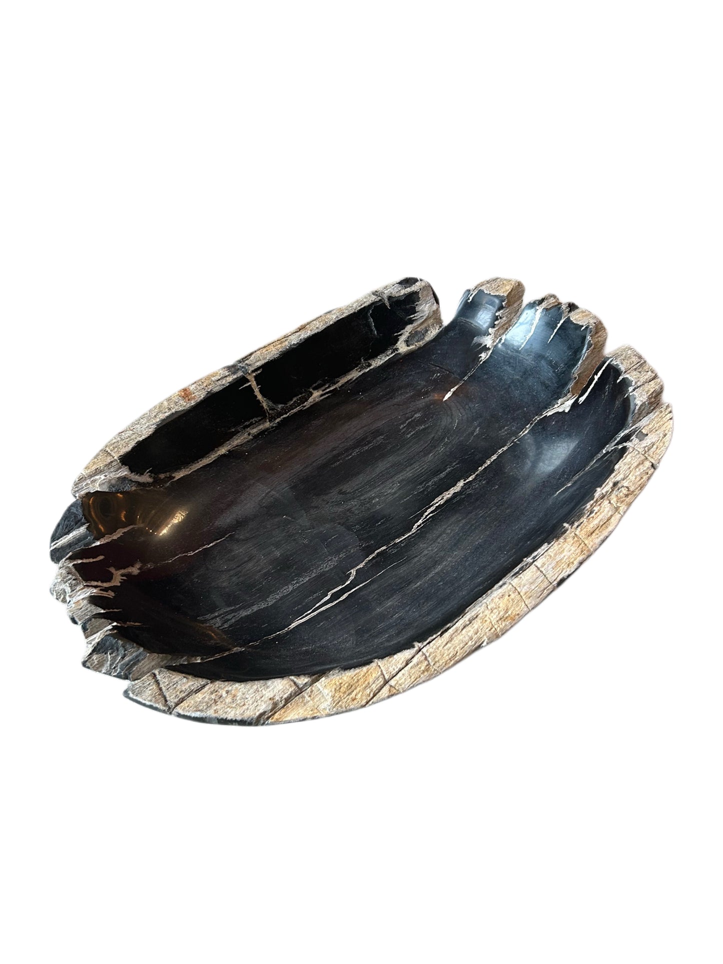 Petrified Wood Bowl