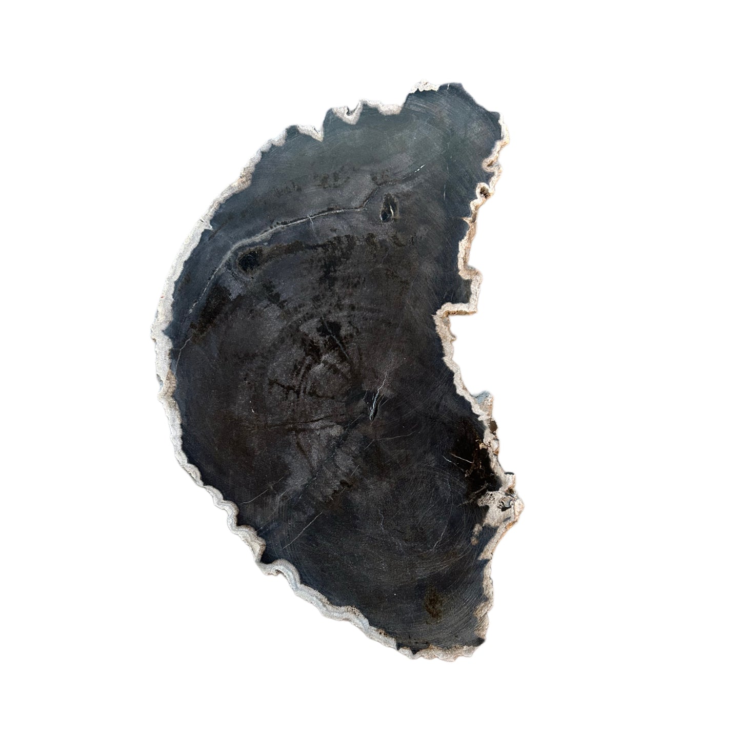 PETRIFIED WOOD CHARCUTERIE BOARD
