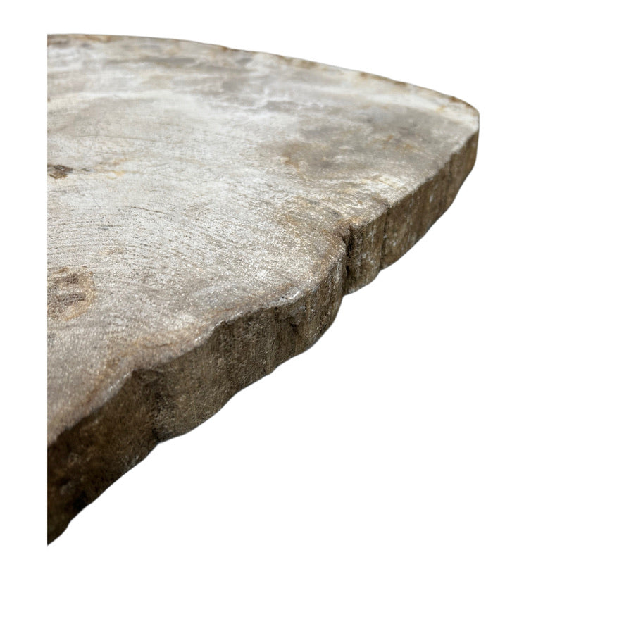 PETRIFIED WOOD CHARCUTERIE BOARD