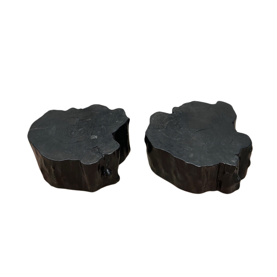 EBONIZED OLD GROWTH ACACIA ORGANIC STUMP COFFEE TABLE