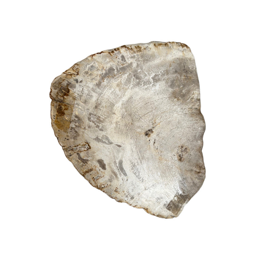 PETRIFIED WOOD CHARCUTERIE BOARD