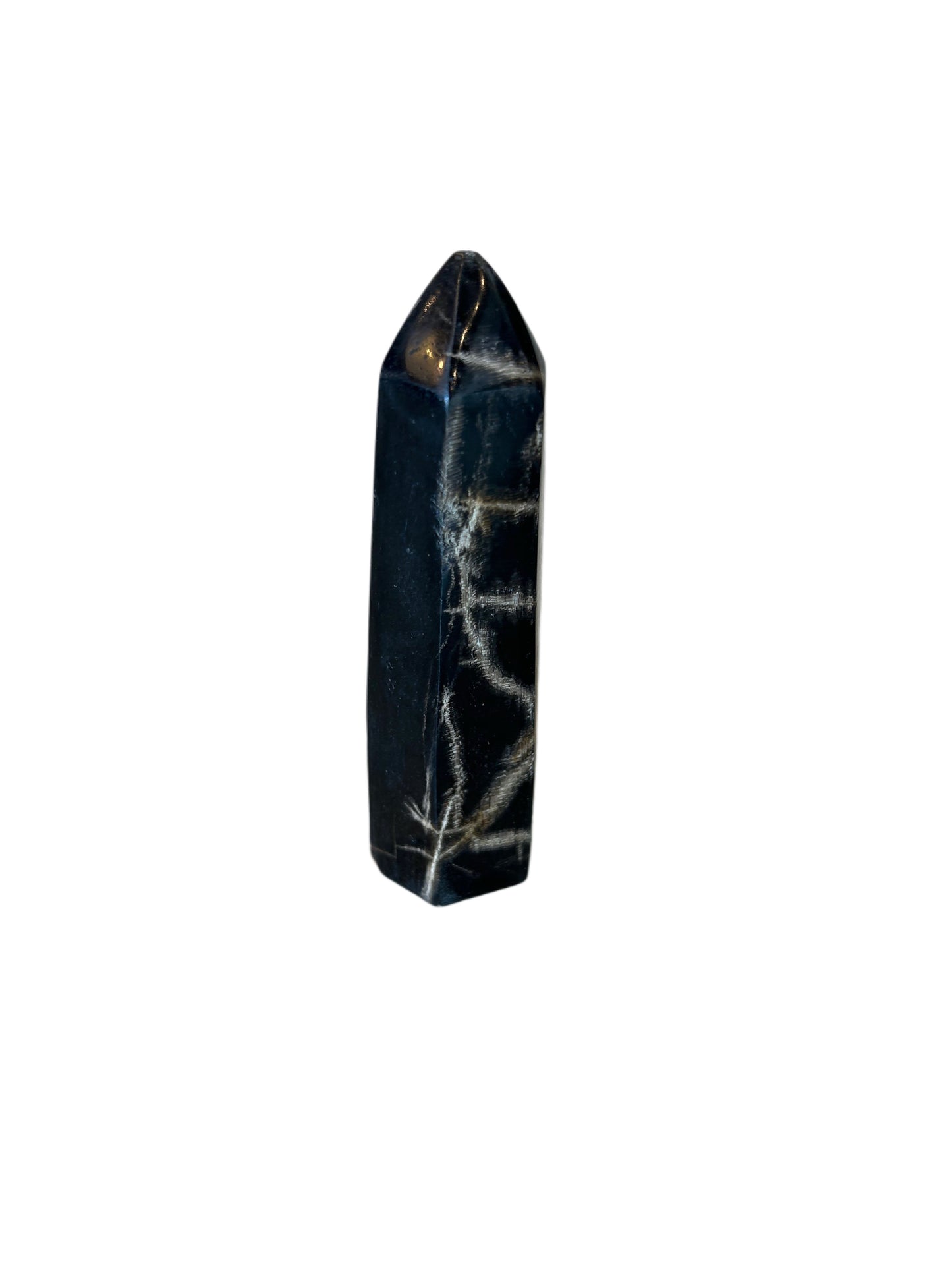 Petrified Wood Obelisk (Set of 2)
