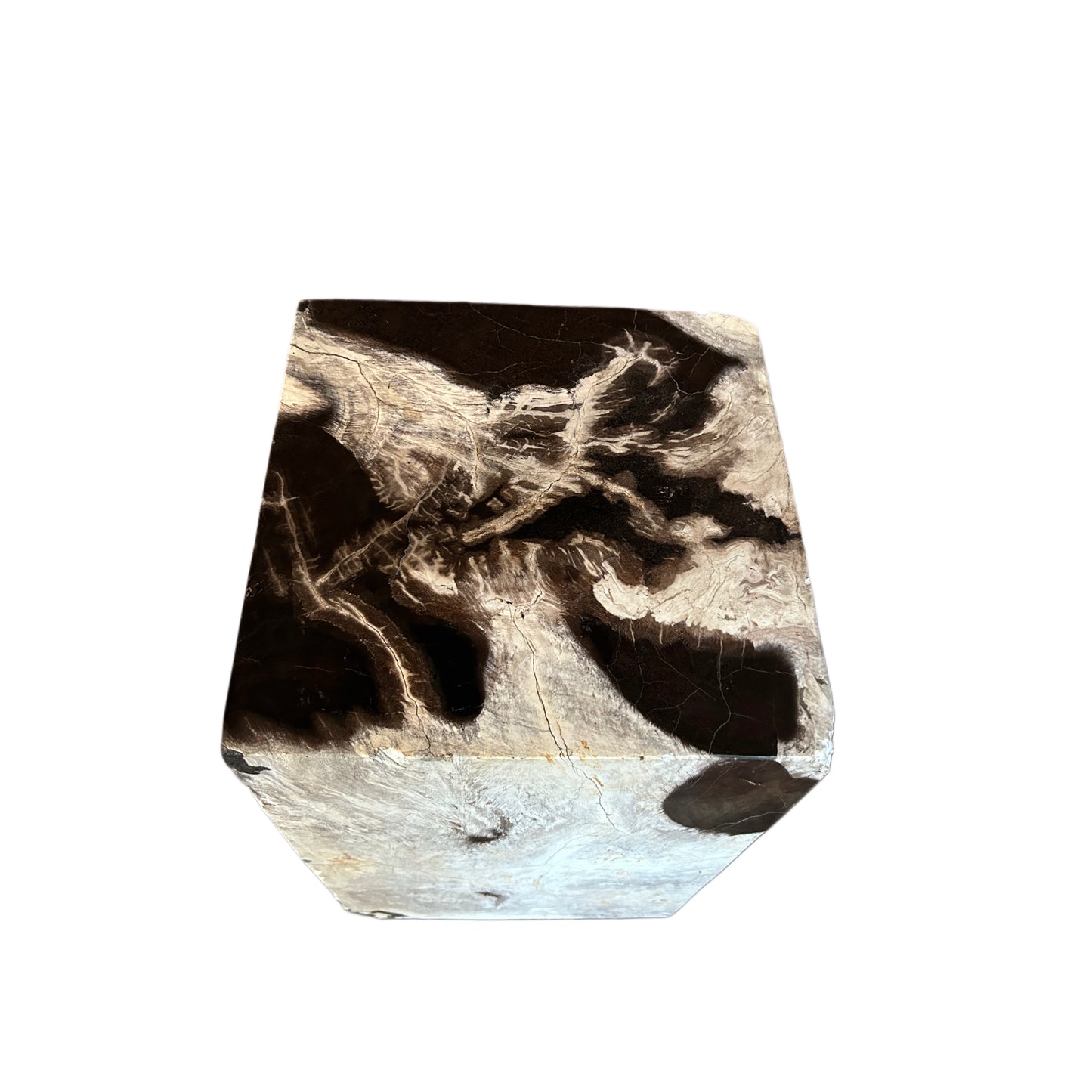 PETRIFIED WOOD PLINTH