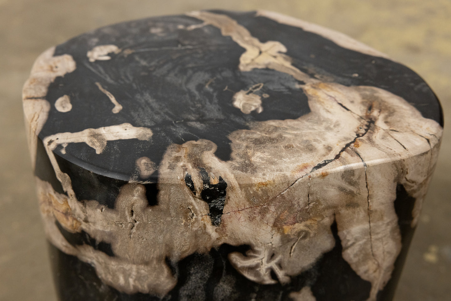 Petrified Wood Stump