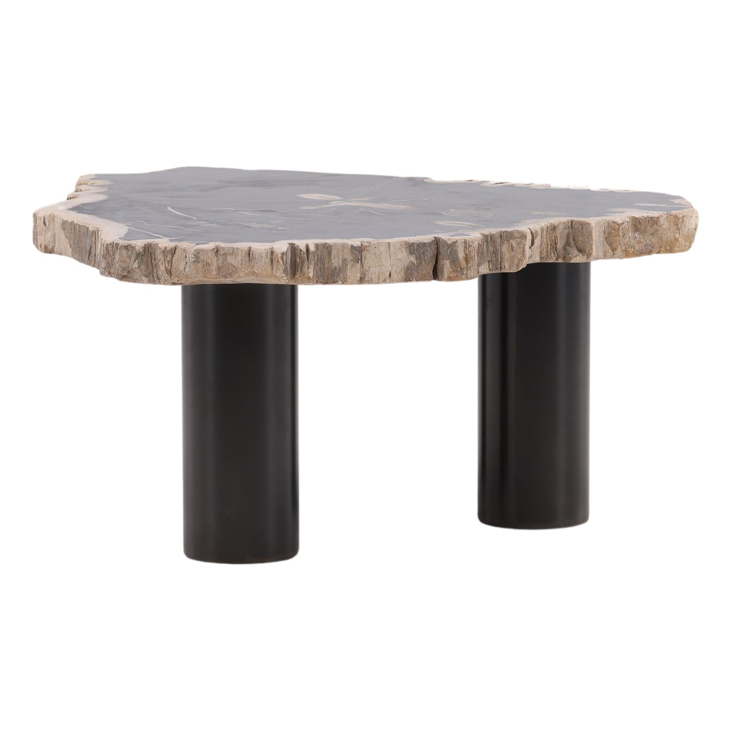 Petrified Wood Coffee Table - Large