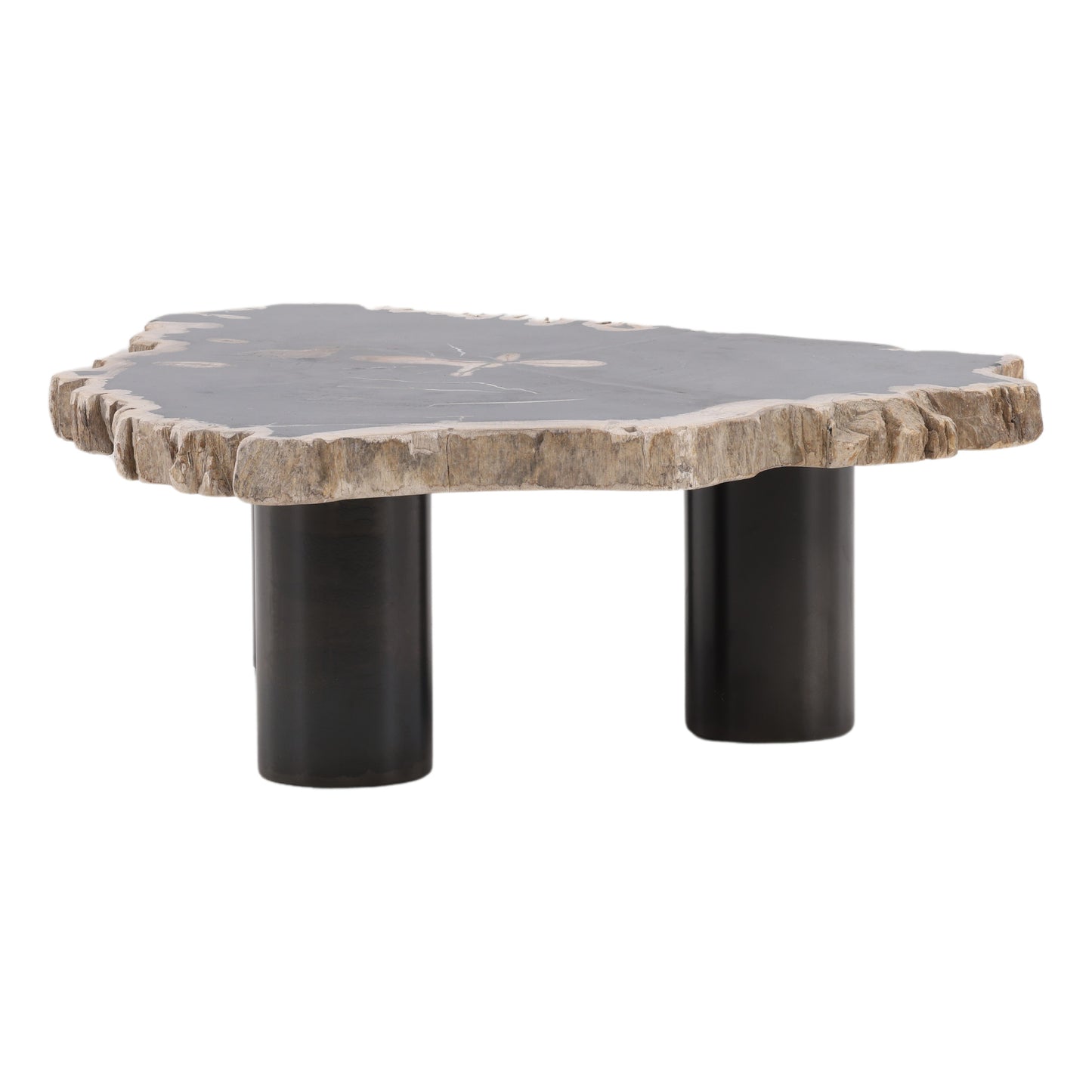 Petrified Wood Coffee Table - Small