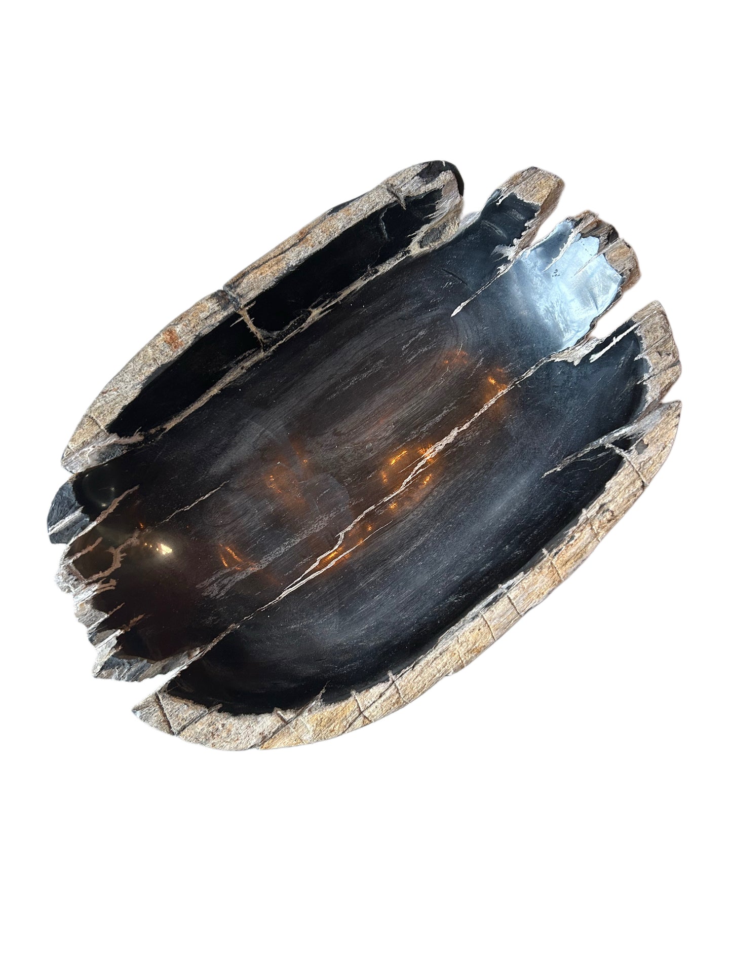 Petrified Wood Bowl