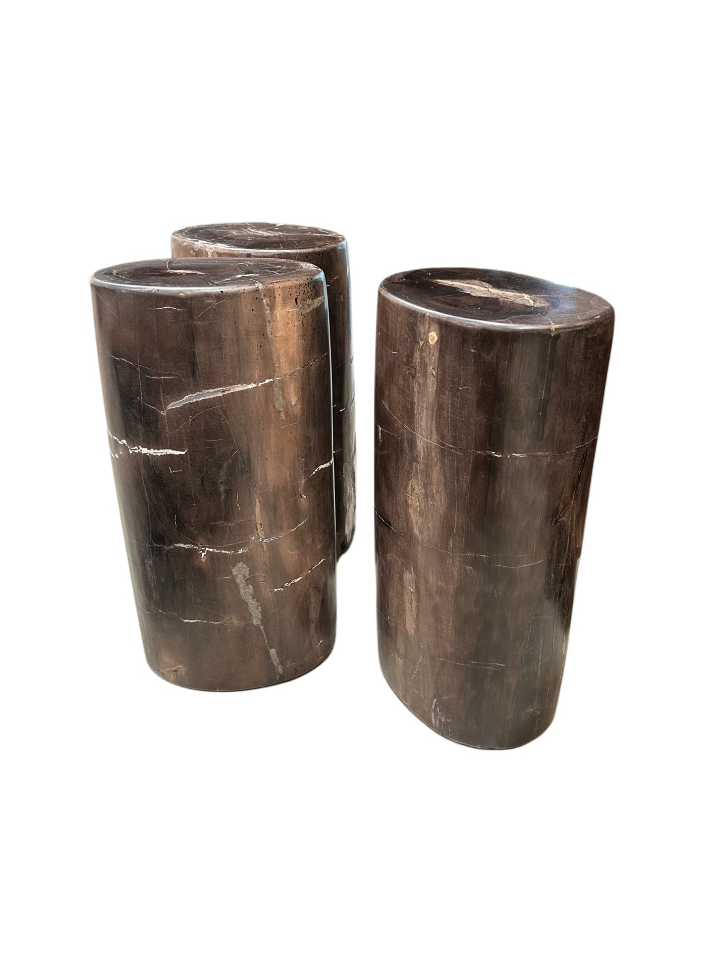 Petrified Wood Plinth - Medium