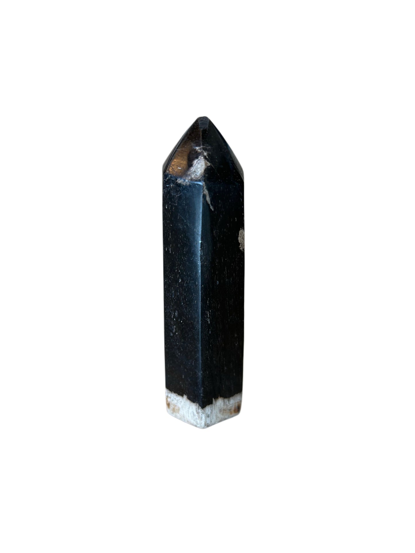 Petrified Wood Obelisk (Set of 2)