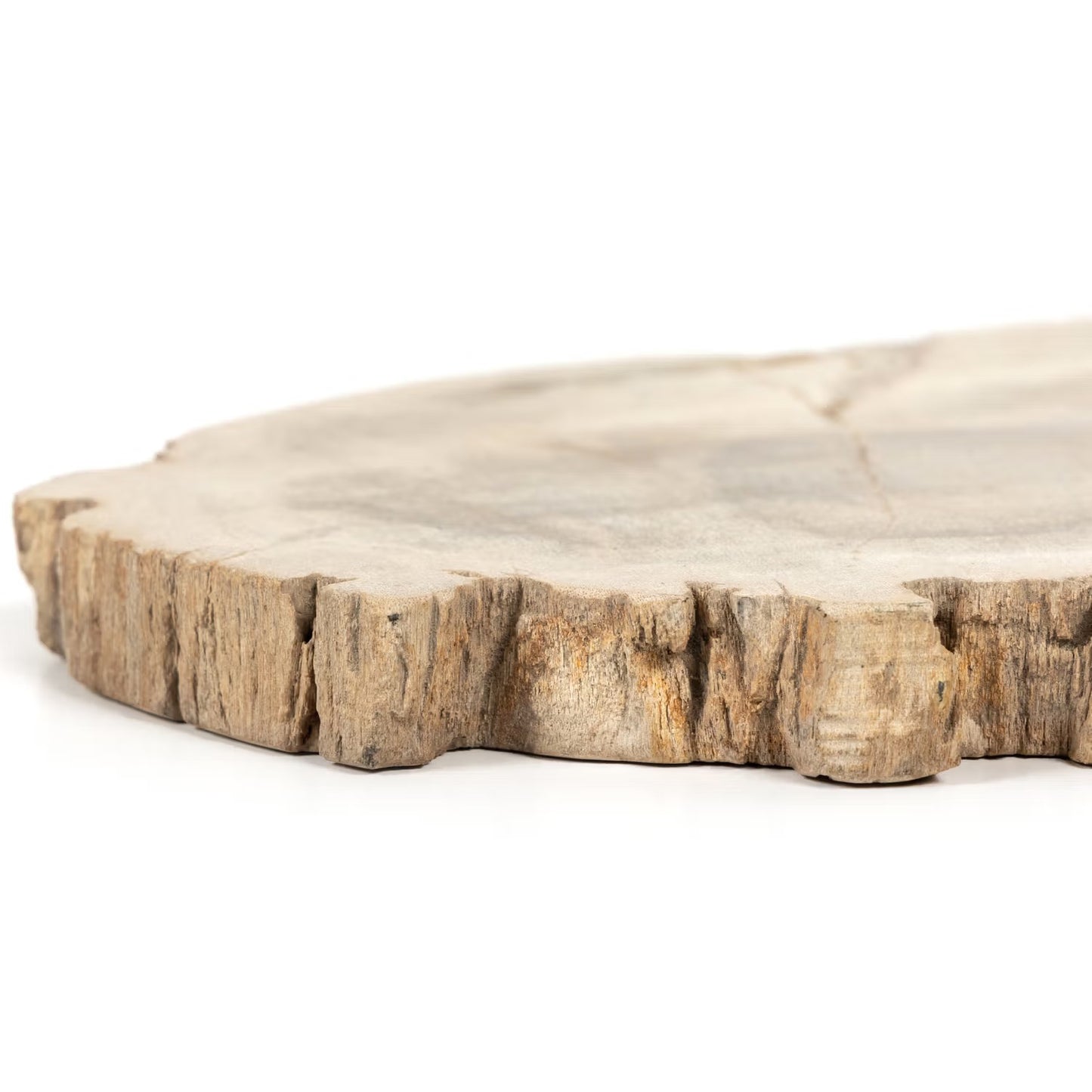 A close-up view of the Light Petrified Wood Slab, a round, flat piece with rough, textured edges and a smooth top surface, set against a white background.
