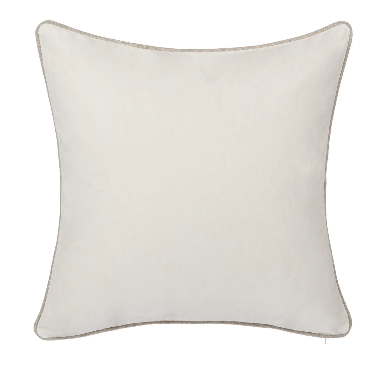 Velvet Throw Pillow
