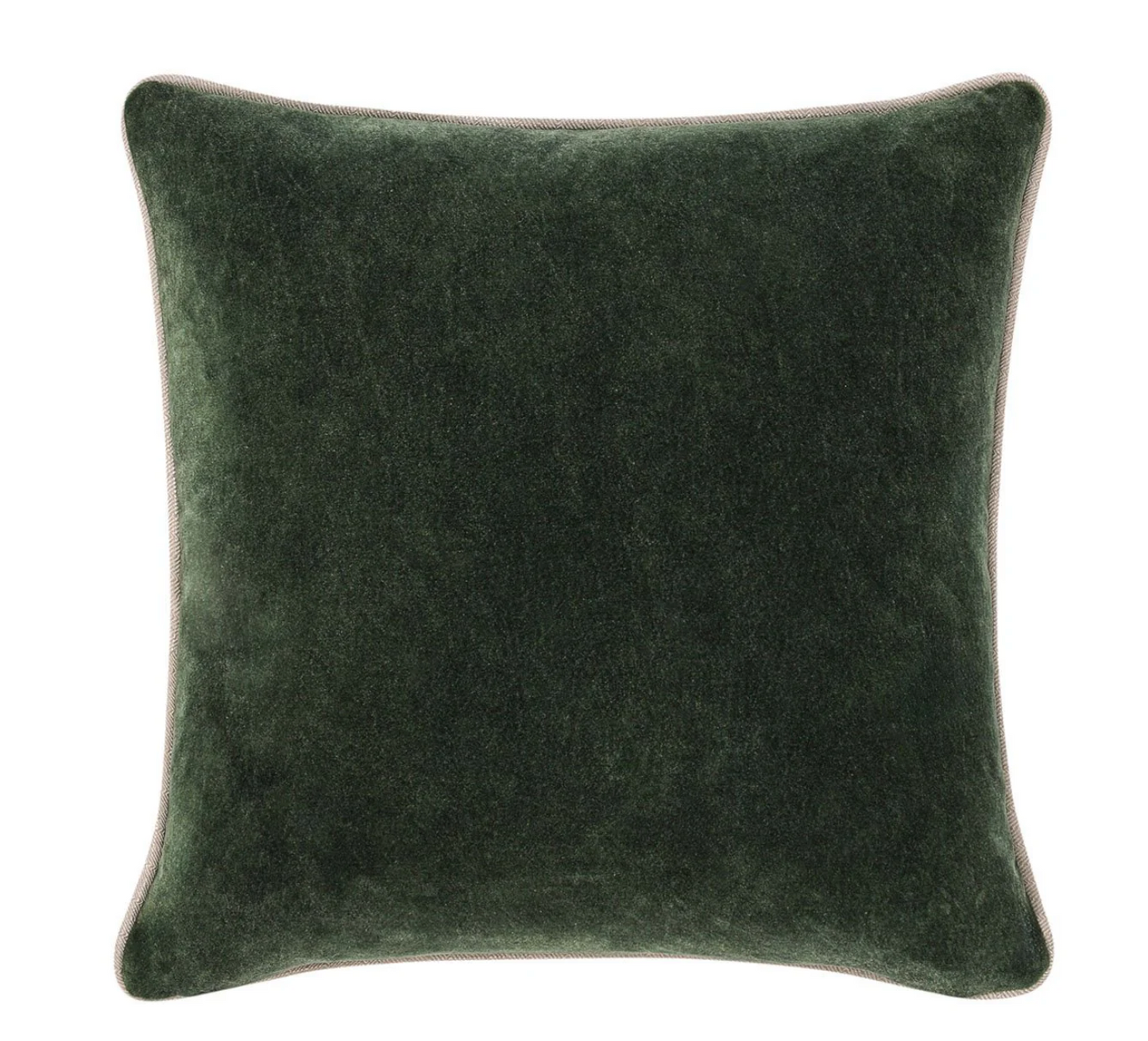 Velvet Throw Pillow