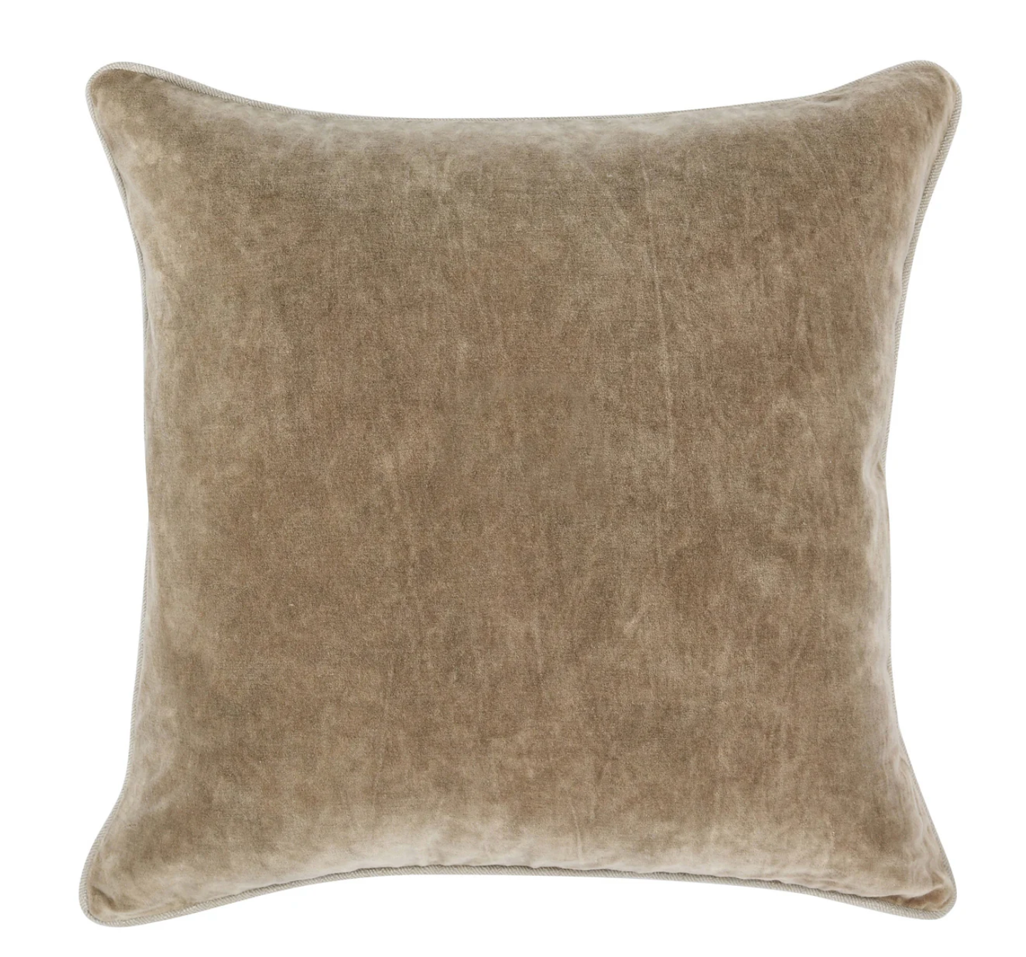 Velvet Throw Pillow