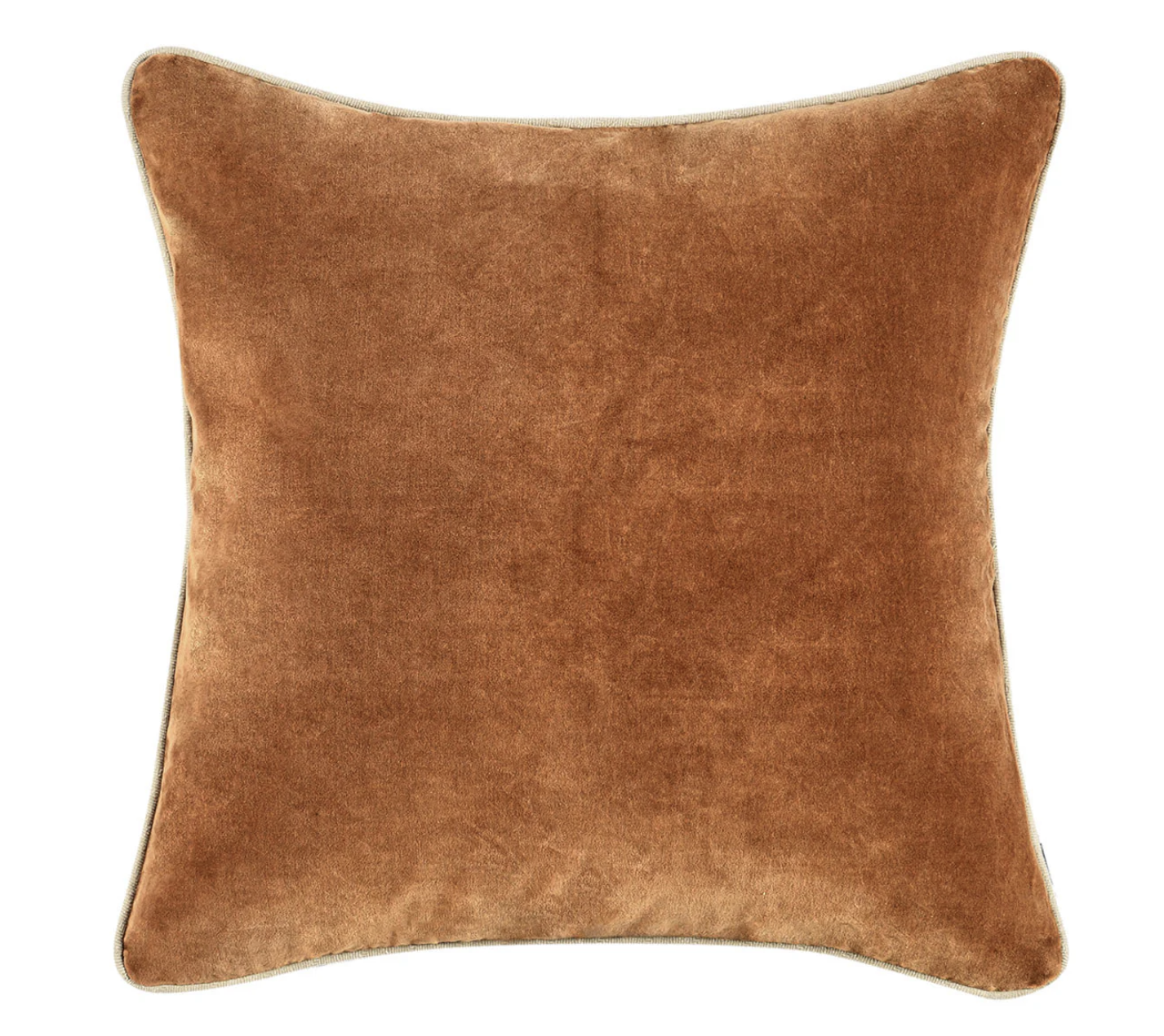 Velvet Throw Pillow