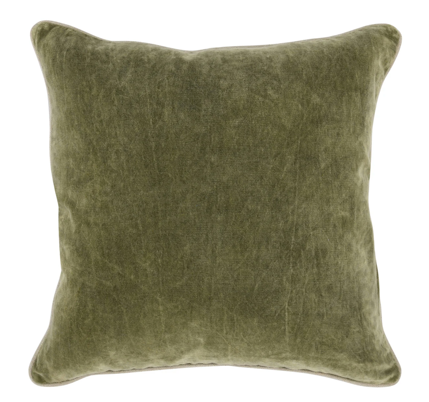 Velvet Throw Pillow