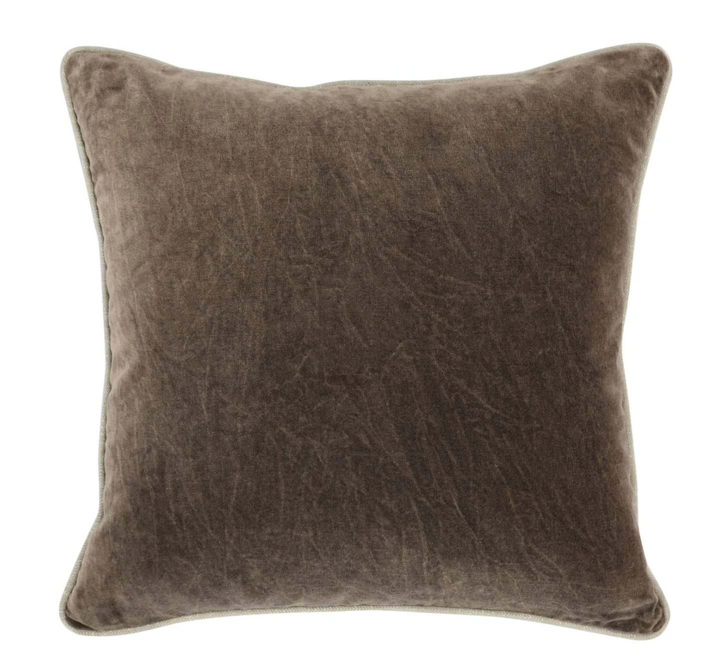 Velvet Throw Pillow