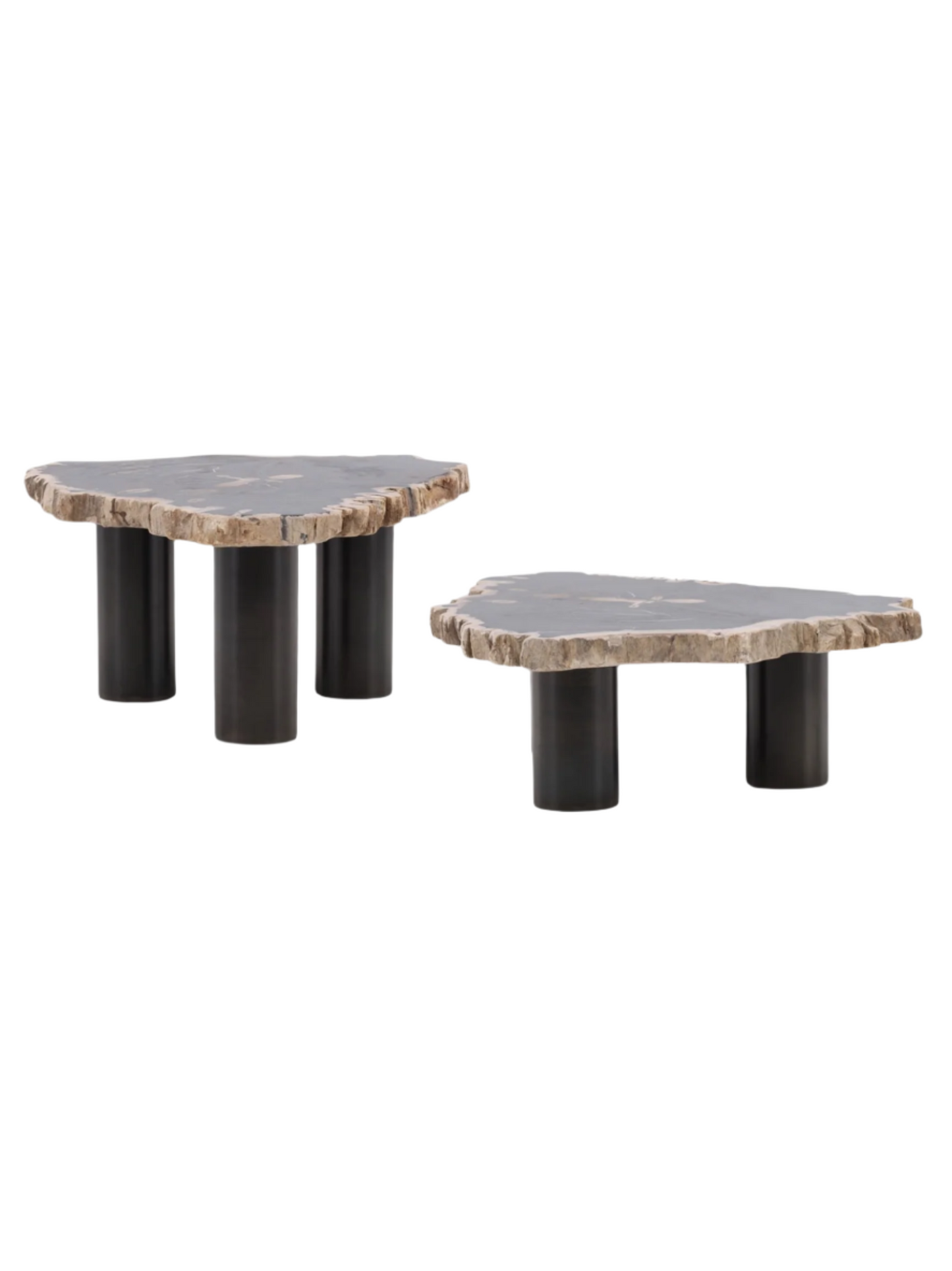 Petrified Wood Coffee Table - Small