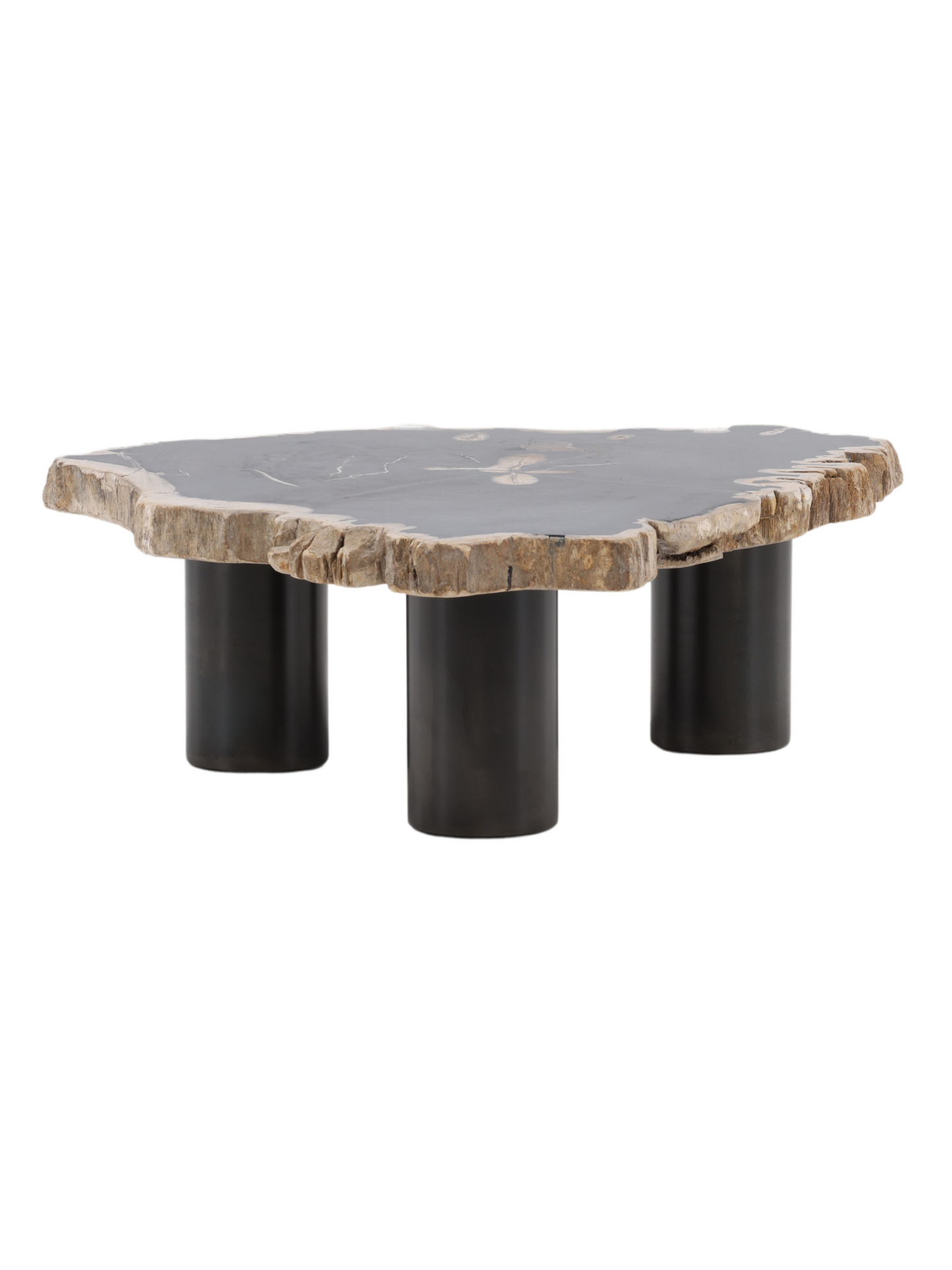 Petrified Wood Coffee Table - Small