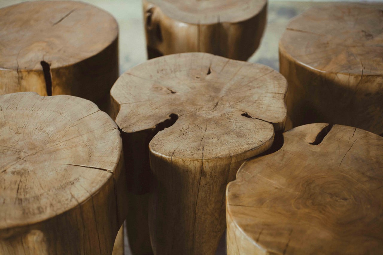 African Root Table