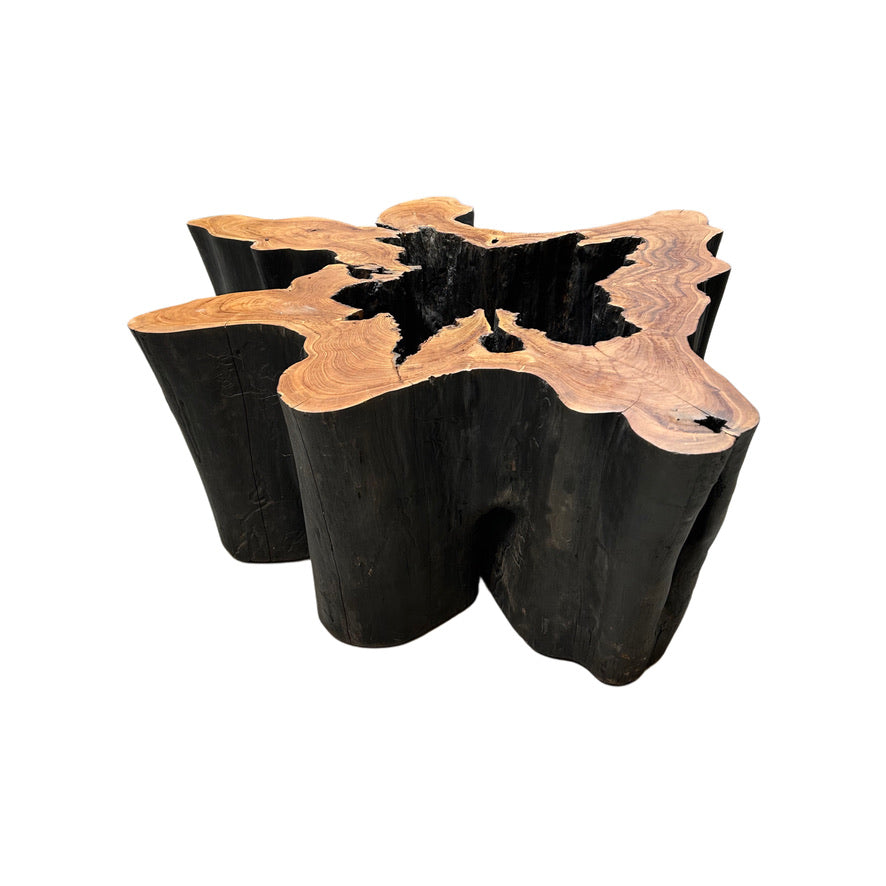 HOLLOW OLD GROWTH TEAK STUMP COFFEE TABLE