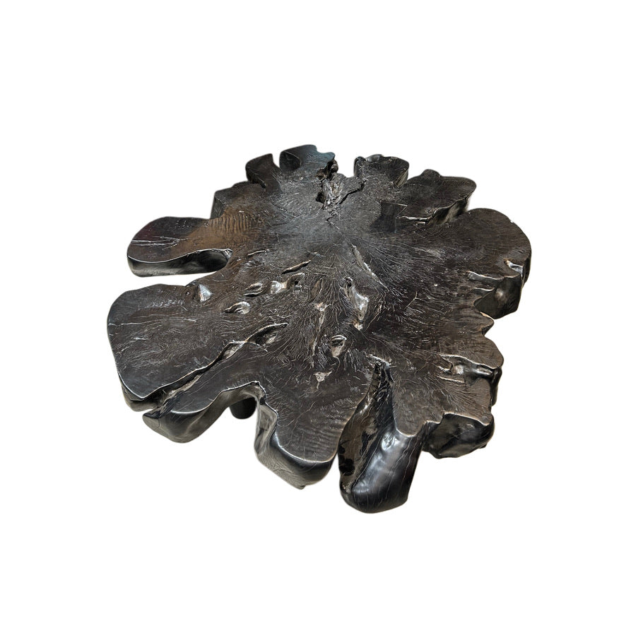 EBONIZED OLD GROWTH ACACIA COFFEE TABLE