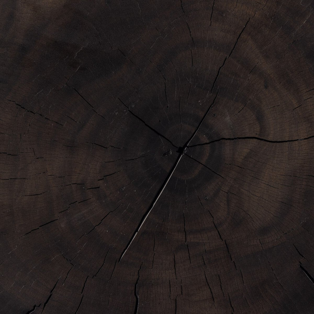 A close-up of the Organic Trunk End Table reveals rich, reclaimed wood with concentric growth rings and deep, organic cracks, highlighting the natural texture and unique patterns of its tree stump design.