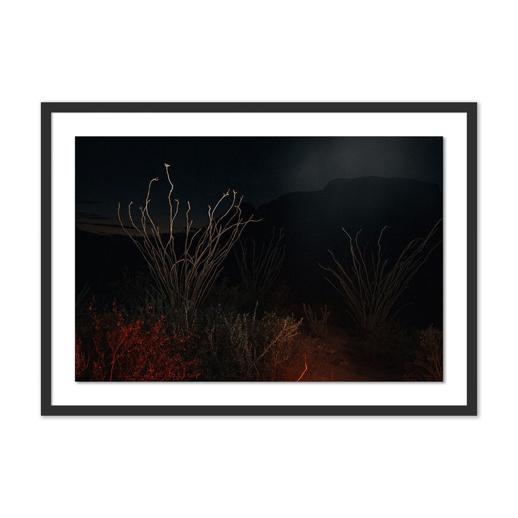 Night time Framed Art (24x17.5) depicts tall, spindly plants bathed in reddish light against a backdrop of dark mountains and night sky—a striking nighttime desert scene.