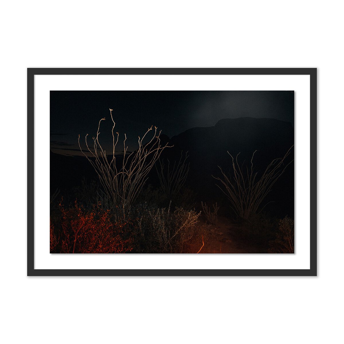 Night time Framed Art (24x17.5) depicts tall, spindly plants bathed in reddish light against a backdrop of dark mountains and night sky—a striking nighttime desert scene.