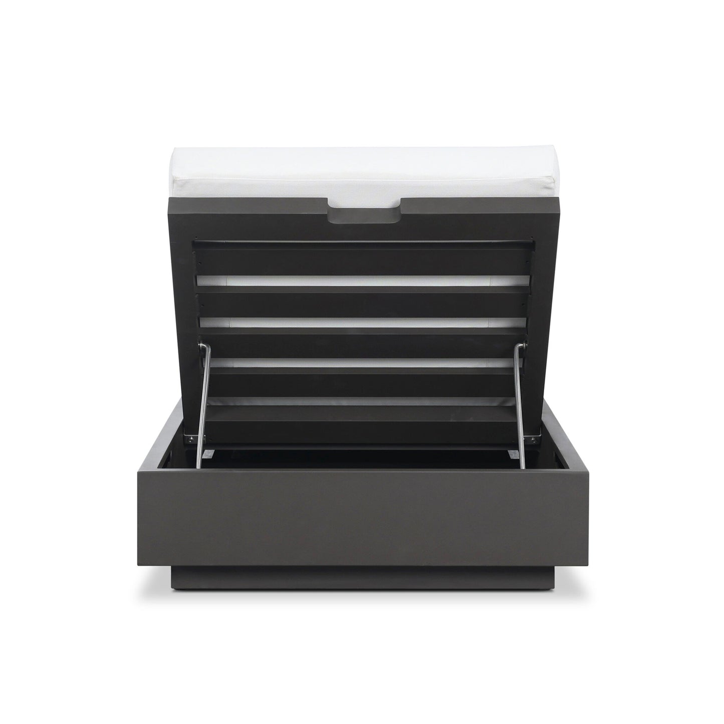 The Aluminum Cushioned Profile Outdoor Chaise Lounge features a modern dark gray design with plush cushioning on top and an open, hinged lid revealing spacious interior storage.