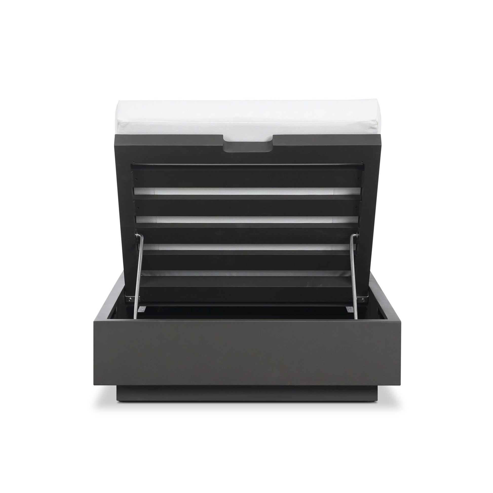 The Aluminum Cushioned Profile Outdoor Chaise Lounge features a modern dark gray design with plush cushioning on top and an open, hinged lid revealing spacious interior storage.