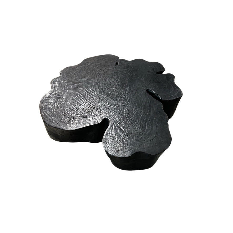 EBONIZED OLD GROWTH ACACIA ORGANIC STUMP