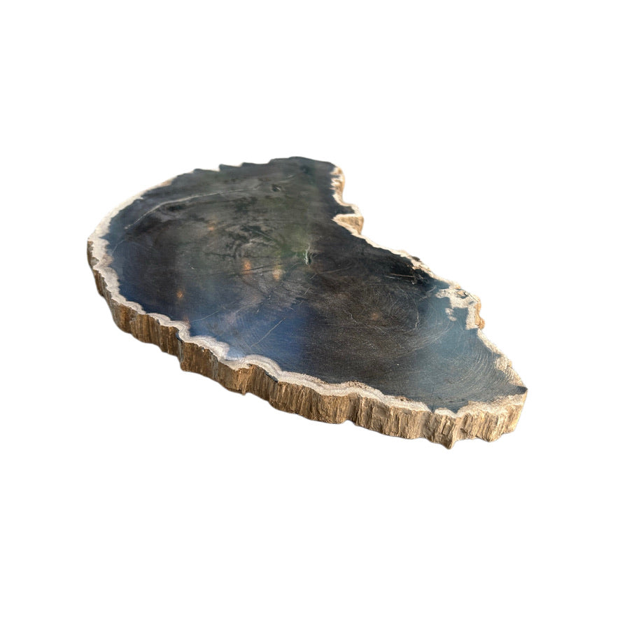 PETRIFIED WOOD CHARCUTERIE BOARD