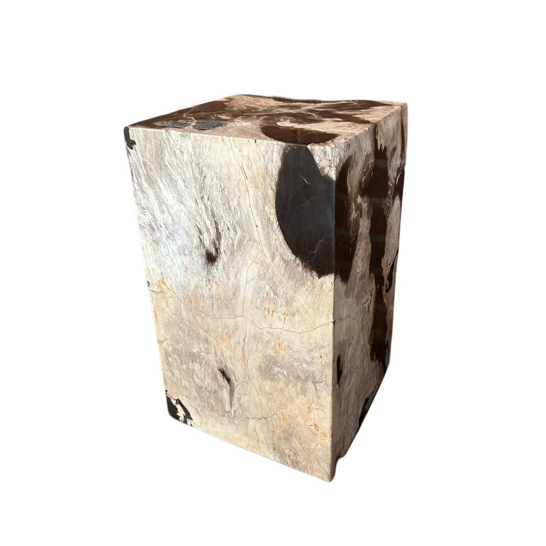PETRIFIED WOOD PLINTH