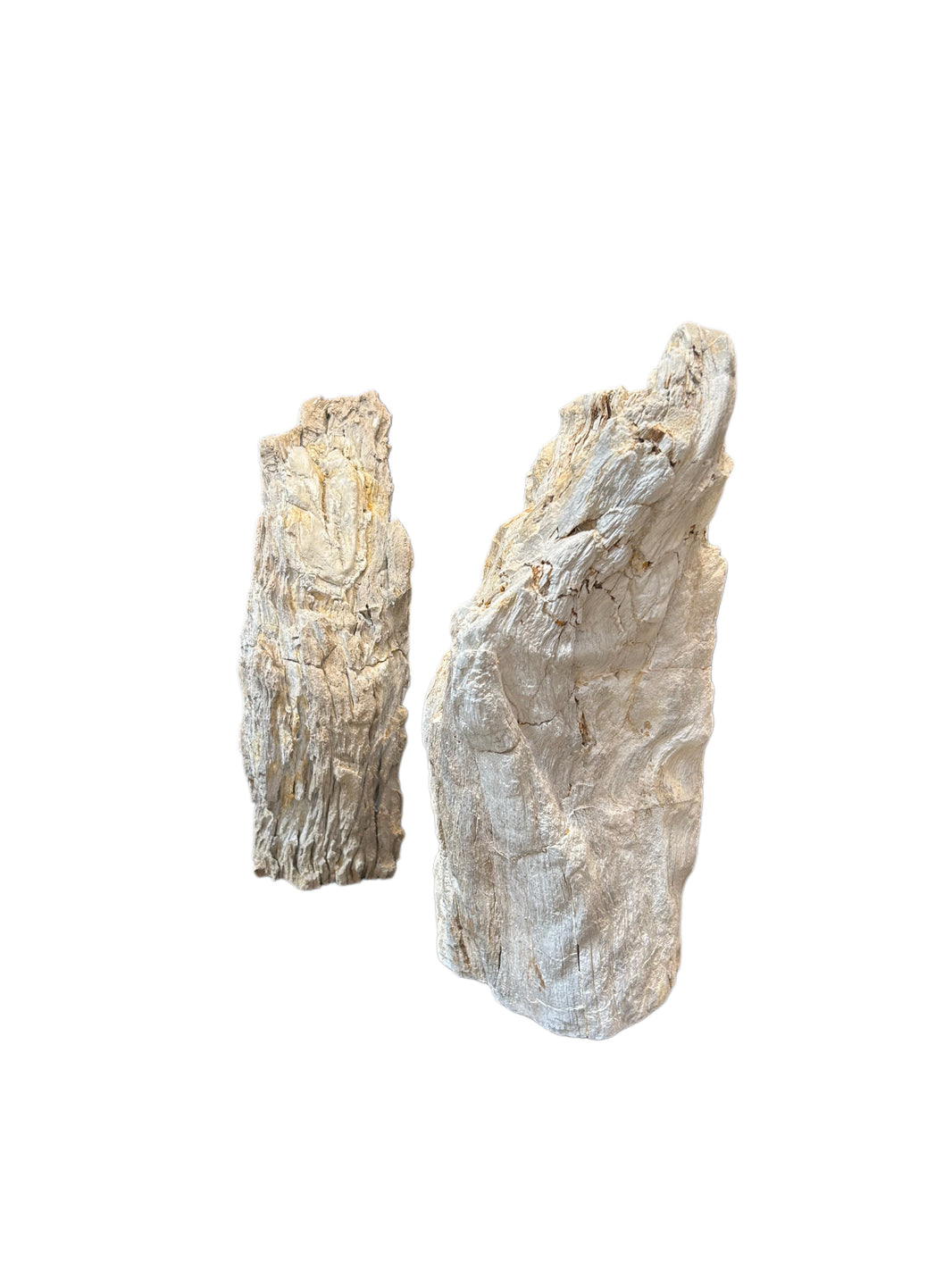 Bleached Petrified Wood Sculpture