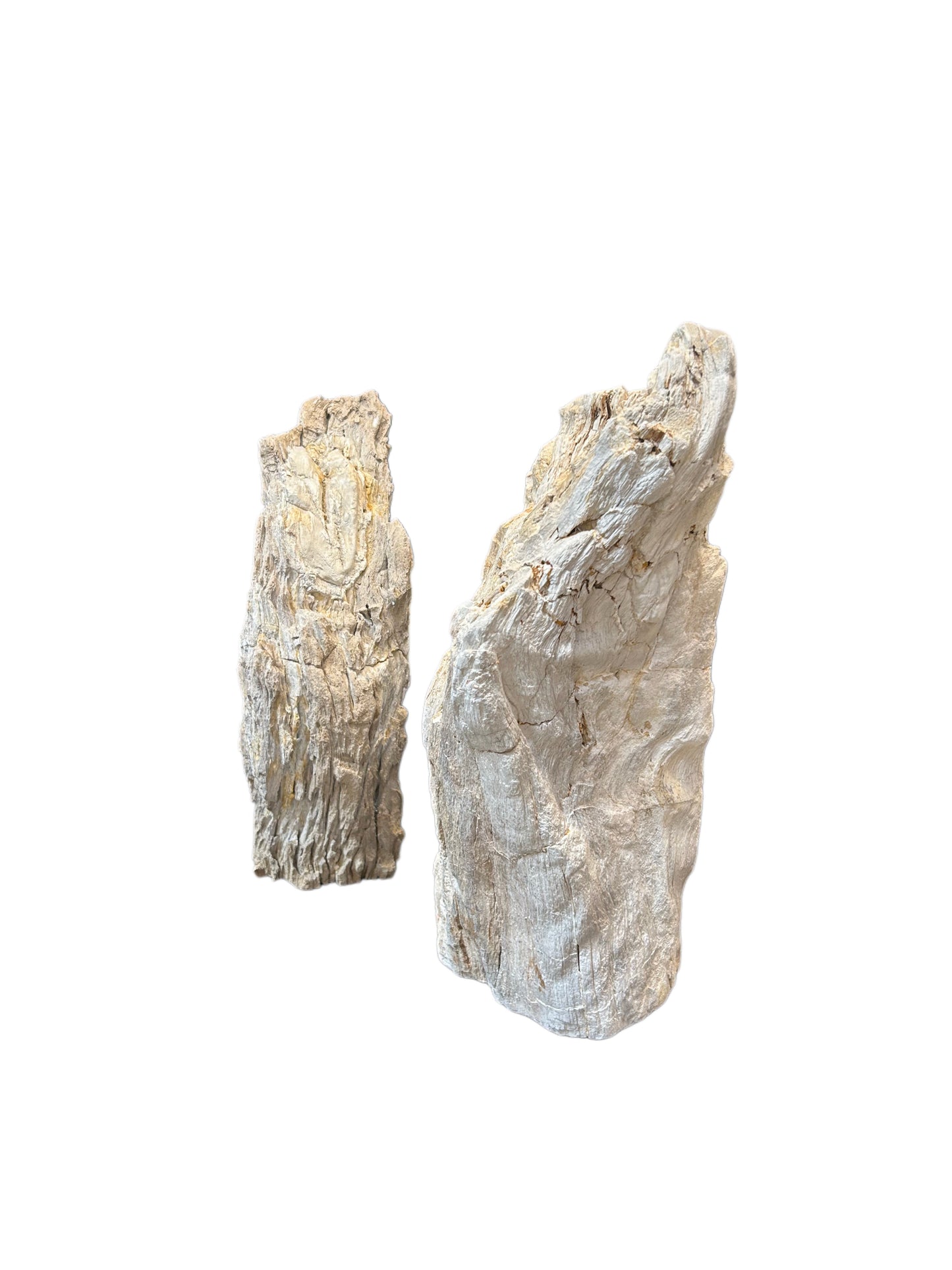 Bleached Petrified Wood Sculpture