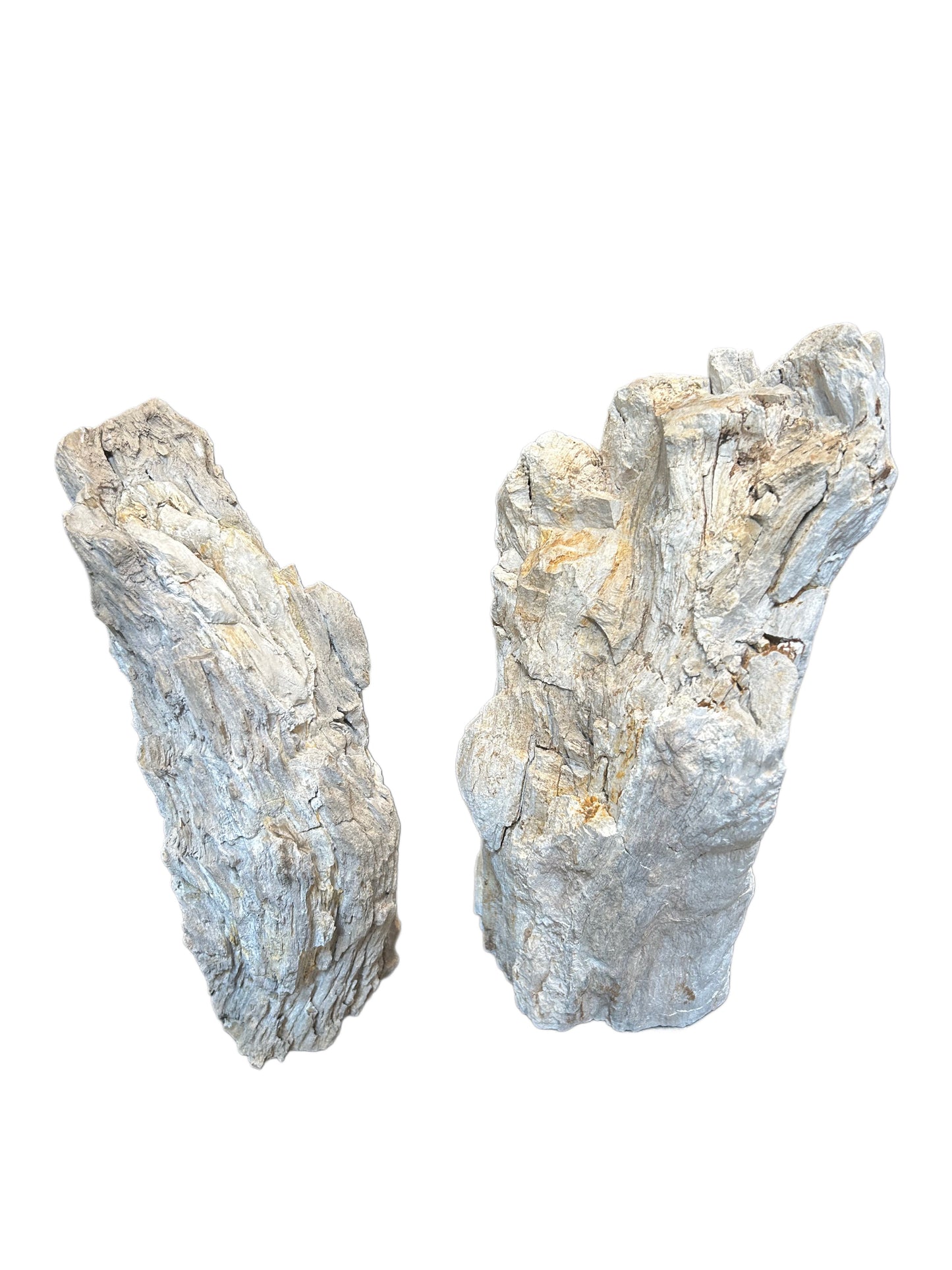 Bleached Petrified Wood Sculpture