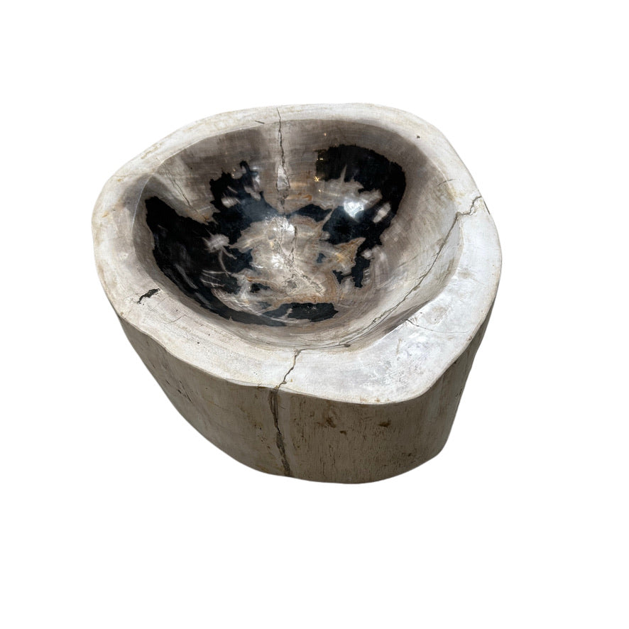 TALL PETRIFIED WOOD BOWL