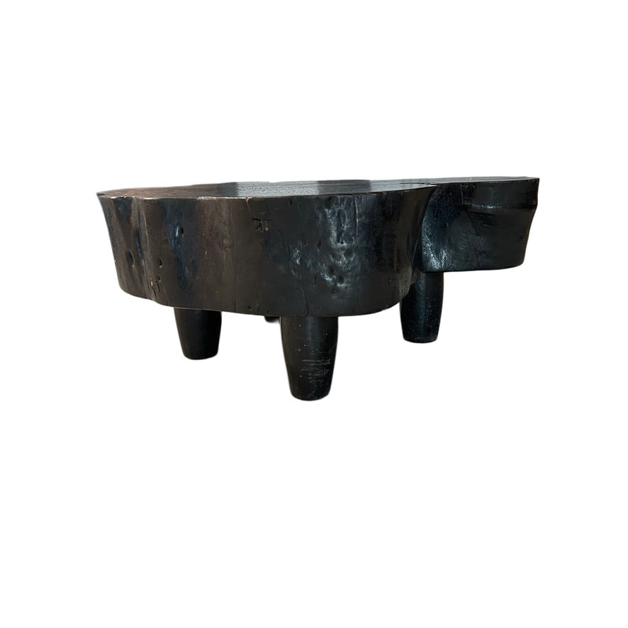 EBONIZED OLD GROWTH ACACIA ORGANIC STUMP