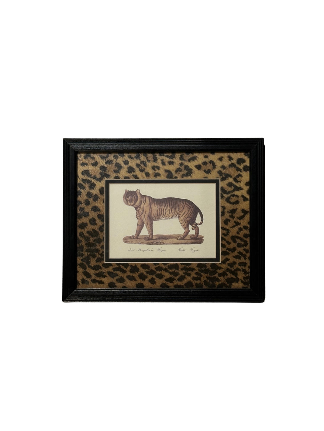 Tiger Print Art