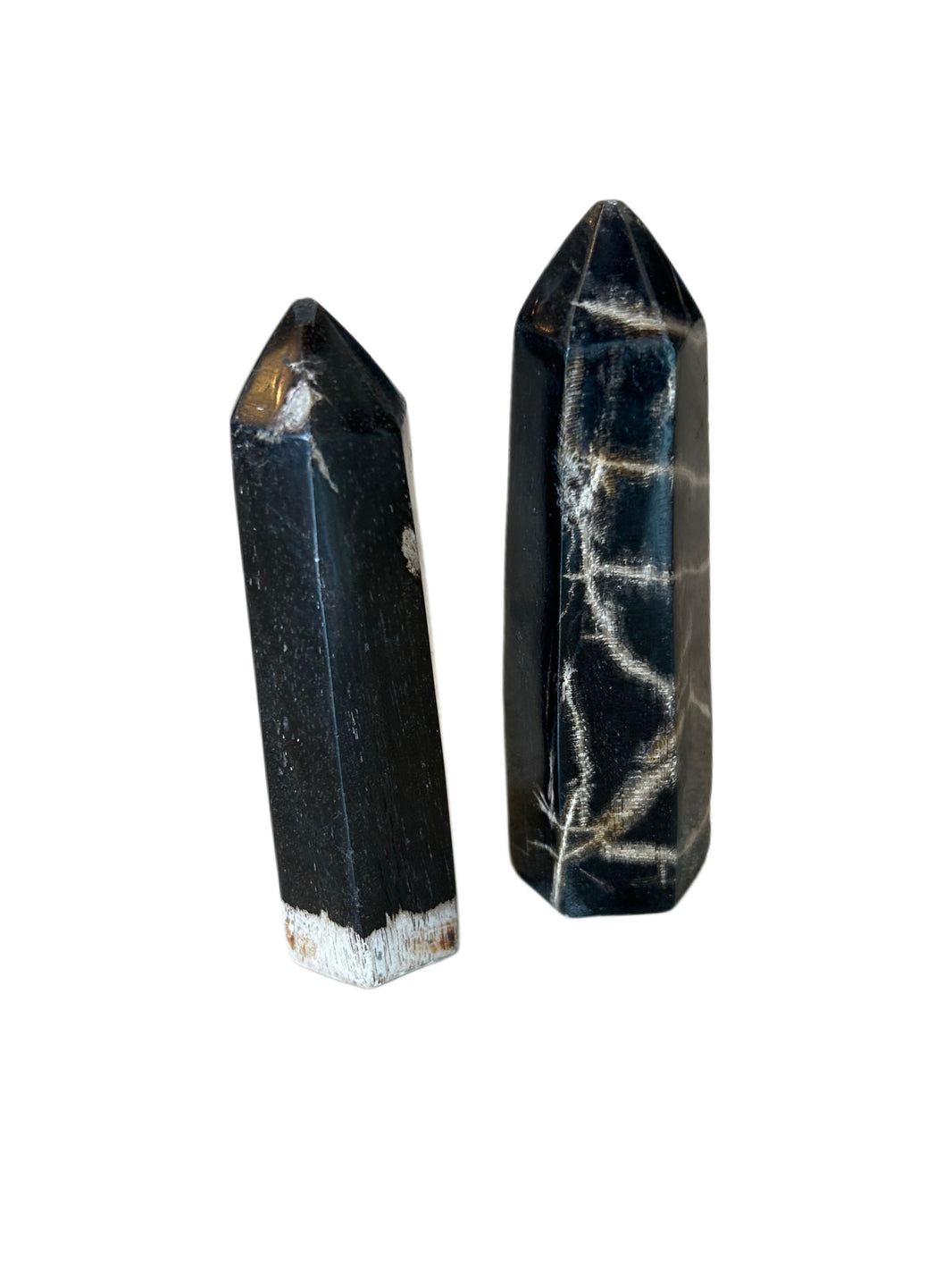 Petrified Wood Obelisk (Set of 2)