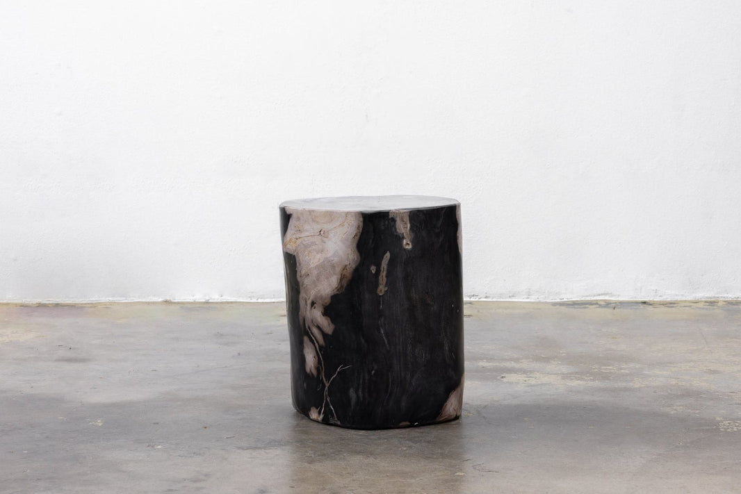 Petrified Wood Stump
