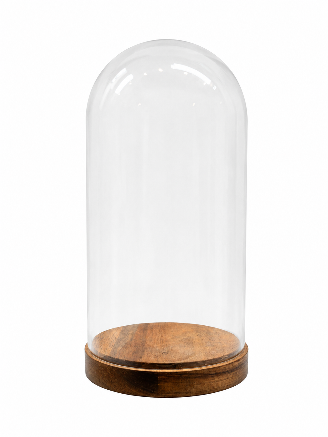 The Cloche with Wooden Base is a clear glass dome paired with a wooden base, ideal for showcasing a 4-inch vase or any small decorative vase, and is photographed against a plain white background.