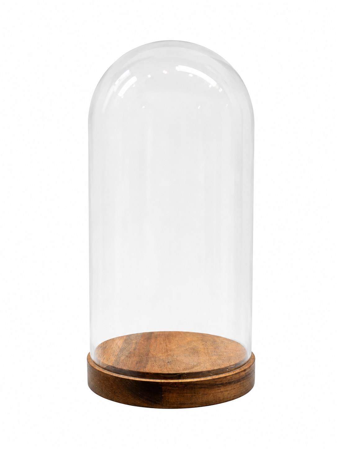 The Cloche with Wooden Base is a clear glass dome paired with a wooden base, ideal for showcasing a 4-inch vase or any small decorative vase, and is photographed against a plain white background.