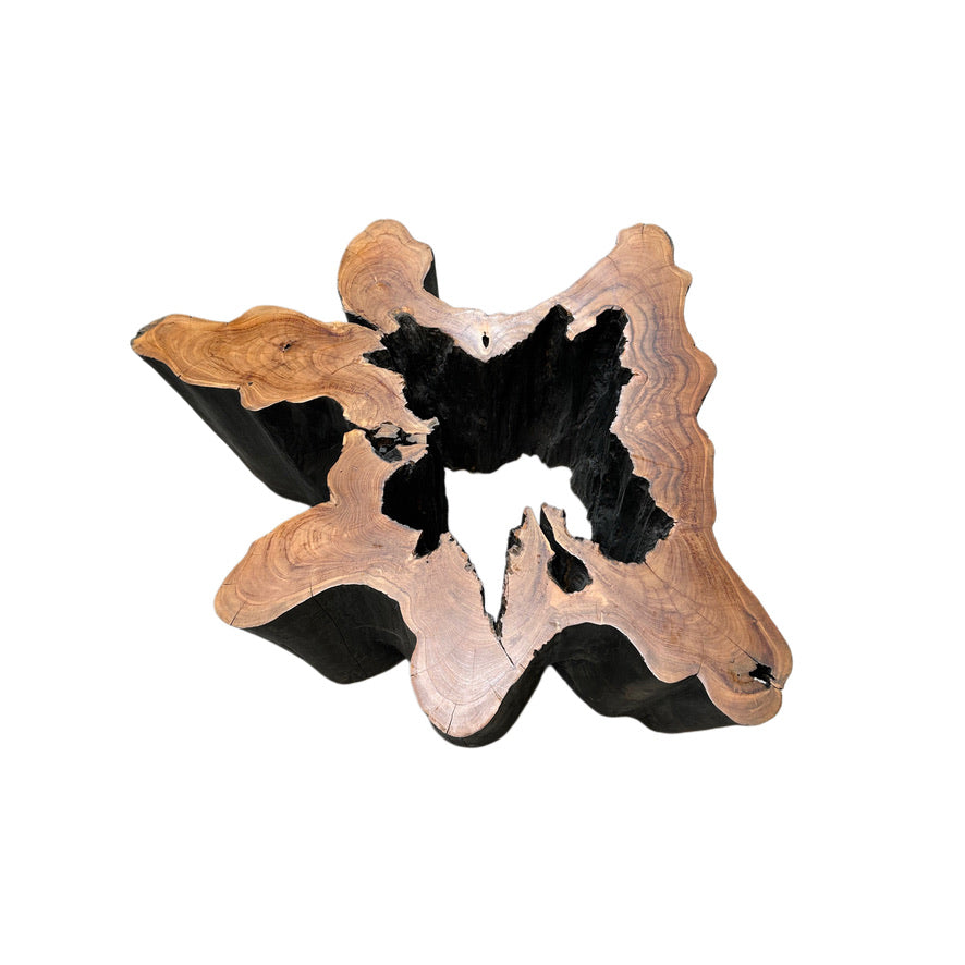 HOLLOW OLD GROWTH TEAK STUMP COFFEE TABLE